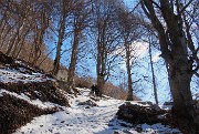 16 Nella bella faggeta 